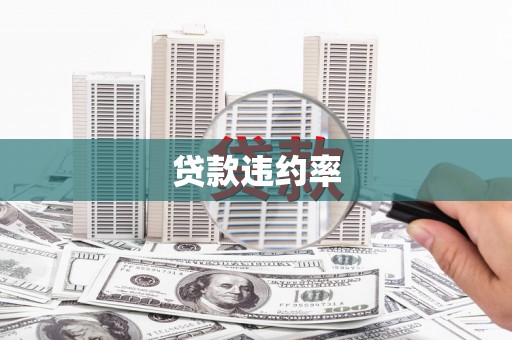 长顺贷款违约率