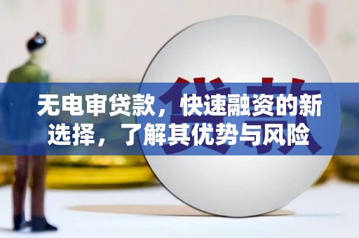 长顺无电审贷款，快速融资的新选择，了解其优势与风险