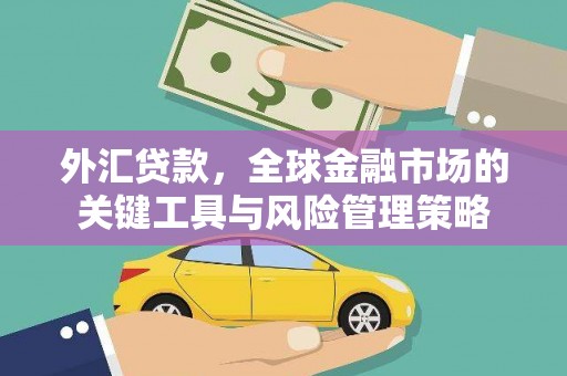 长顺外汇贷款，全球金融市场的关键工具与风险管理策略