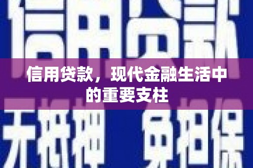 长顺信用贷款，现代金融生活中的重要支柱