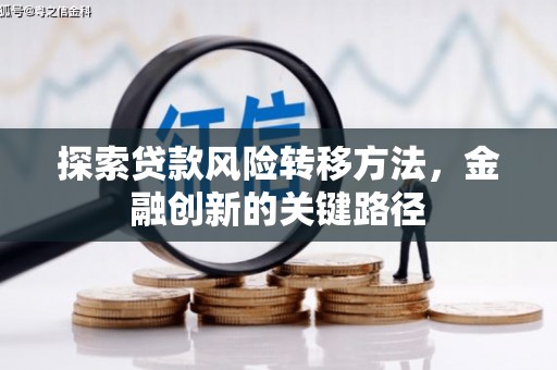 长顺探索贷款风险转移方法，金融创新的关键路径