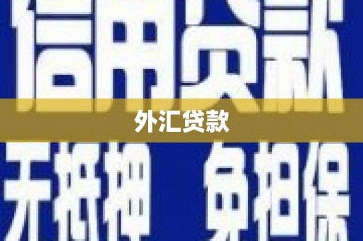 长顺外汇贷款
