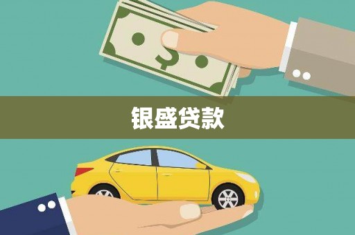 长顺银盛贷款
