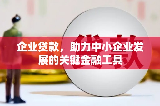 长顺企业贷款，助力中小企业发展的关键金融工具