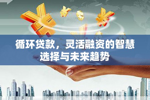 长顺循环贷款，灵活融资的智慧选择与未来趋势