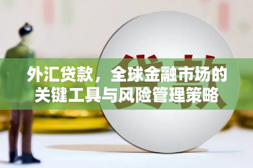 长顺外汇贷款，全球金融市场的关键工具与风险管理策略