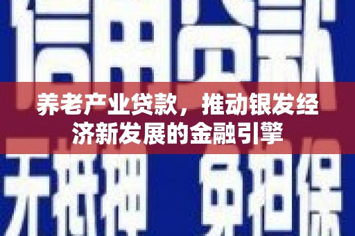 长顺养老产业贷款，推动银发经济新发展的金融引擎