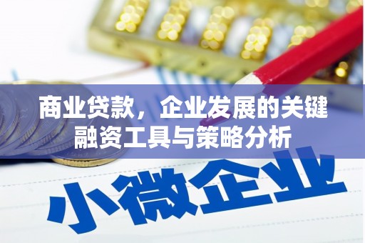 长顺商业贷款，企业发展的关键融资工具与策略分析