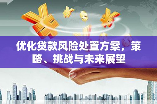 长顺优化贷款风险处置方案，策略、挑战与未来展望