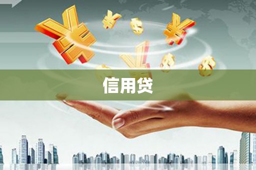 长顺信用贷