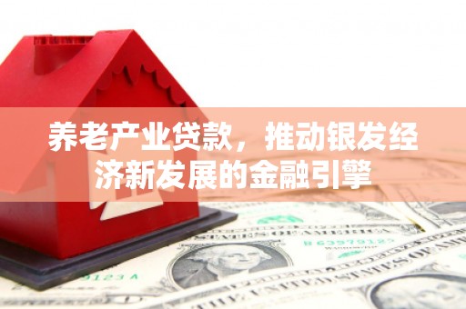长顺养老产业贷款，推动银发经济新发展的金融引擎