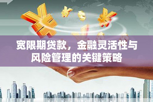 长顺宽限期贷款，金融灵活性与风险管理的关键策略