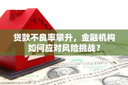 长顺贷款不良率攀升，金融机构如何应对风险挑战？