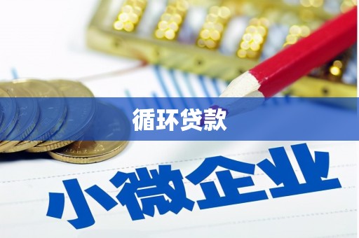 长顺循环贷款