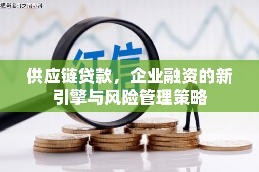 长顺供应链贷款，企业融资的新引擎与风险管理策略