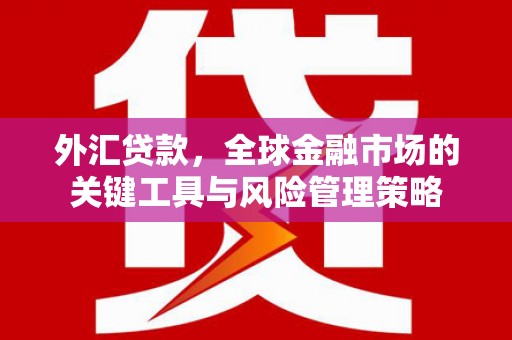长顺外汇贷款，全球金融市场的关键工具与风险管理策略