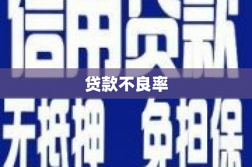 长顺贷款不良率