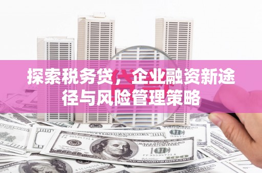 长顺探索税务贷，企业融资新途径与风险管理策略