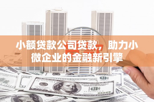 长顺小额贷款公司贷款，助力小微企业的金融新引擎
