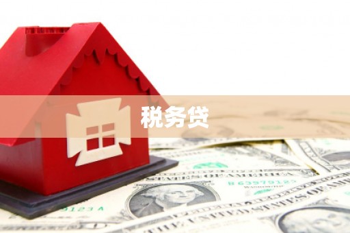 长顺税务贷