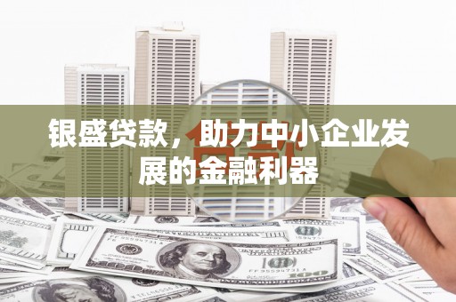 长顺银盛贷款，助力中小企业发展的金融利器