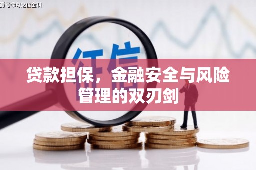 长顺贷款担保，金融安全与风险管理的双刃剑