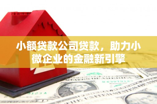 长顺小额贷款公司贷款，助力小微企业的金融新引擎