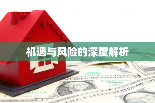 长顺机遇与风险的深度解析