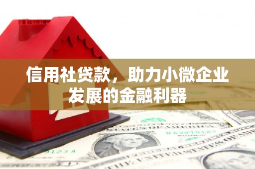 长顺信用社贷款，助力小微企业发展的金融利器