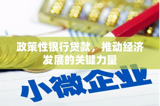 长顺政策性银行贷款，推动经济发展的关键力量