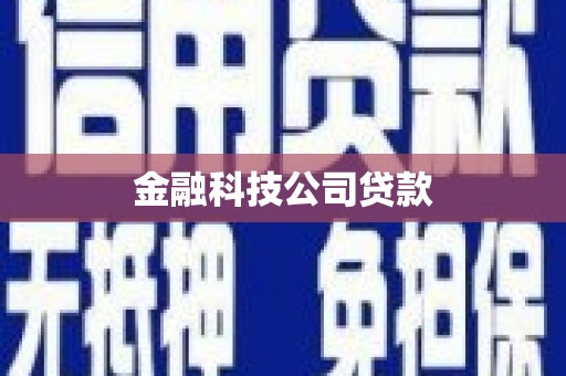 长顺金融科技公司贷款
