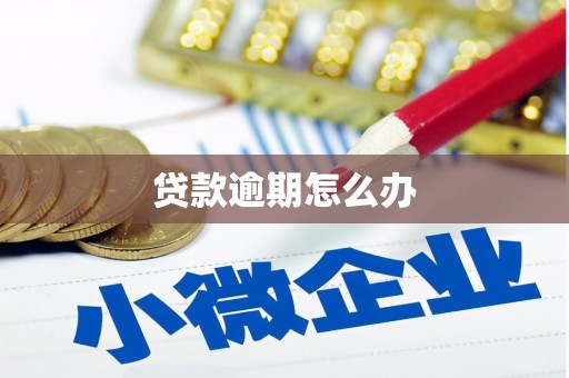 长顺贷款逾期怎么办