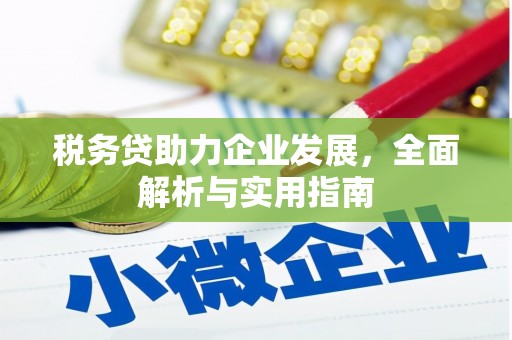 长顺税务贷助力企业发展，全面解析与实用指南