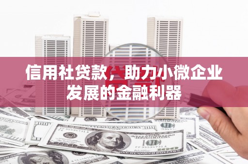 长顺信用社贷款，助力小微企业发展的金融利器