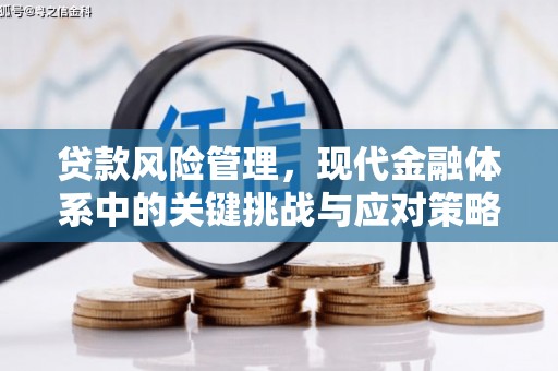 长顺贷款风险管理，现代金融体系中的关键挑战与应对策略