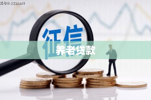 长顺养老贷款