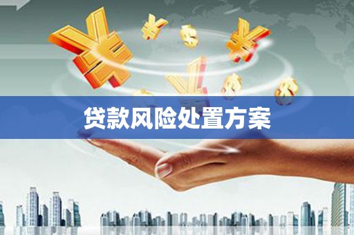 长顺贷款风险处置方案