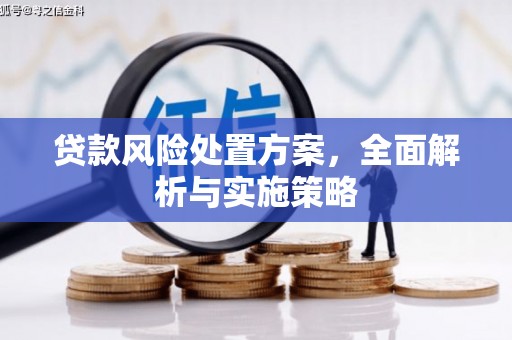 长顺贷款风险处置方案，全面解析与实施策略
