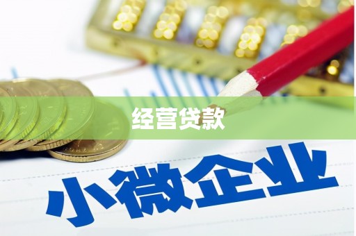 长顺经营贷款